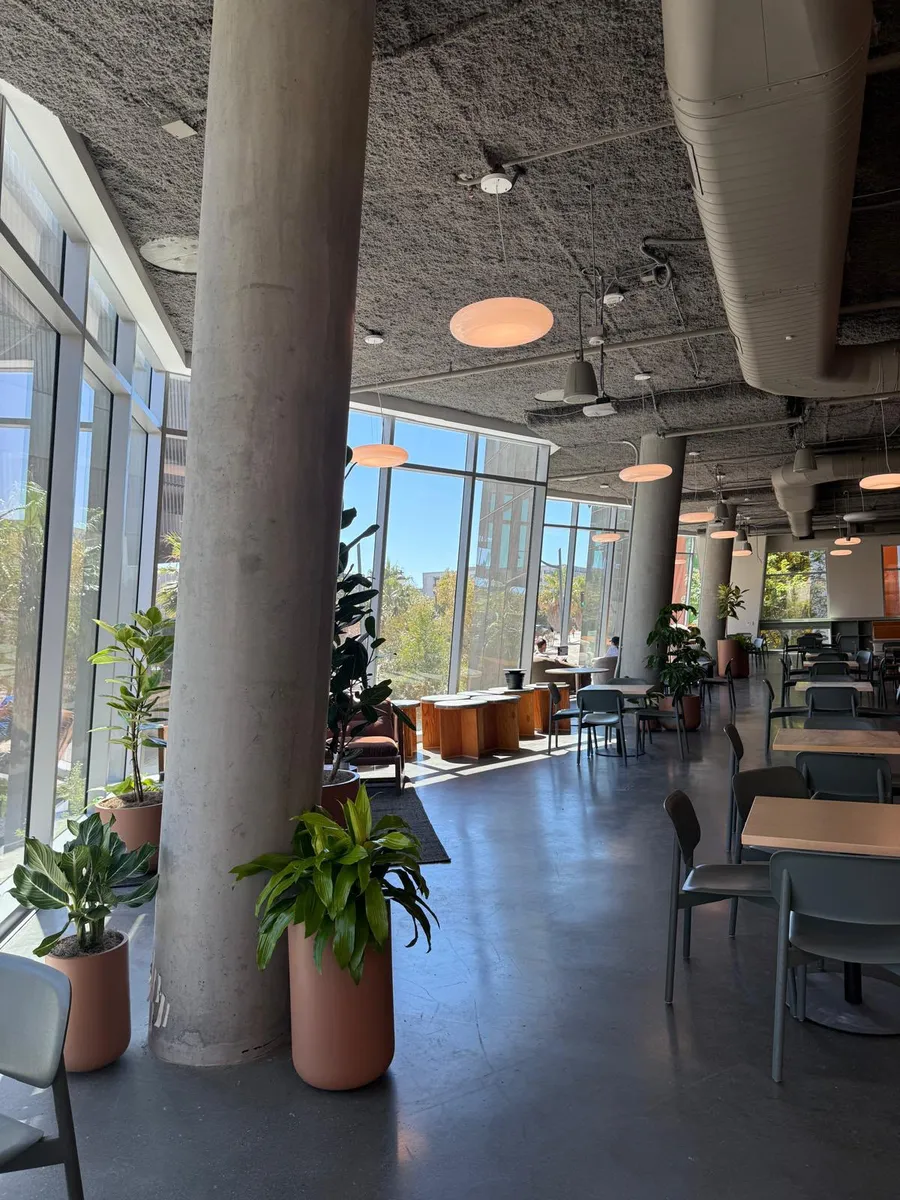 Large indoor plants placed beside concrete columns in an office cafe